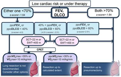 Prehabilitation: a narrative review focused on exercise therapy for the prevention of postoperative pulmonary complications following lung resection